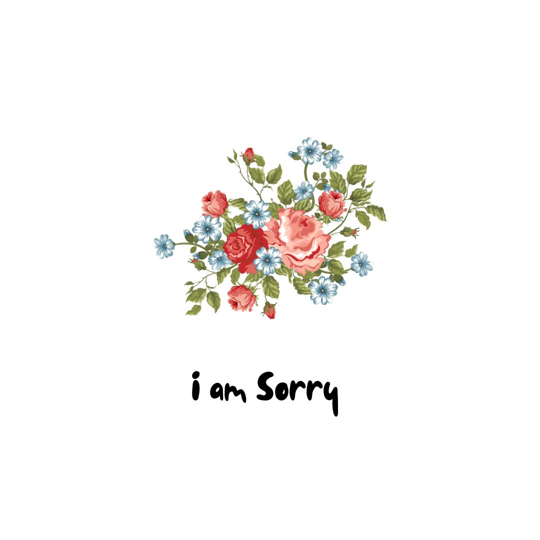 I am Sorry