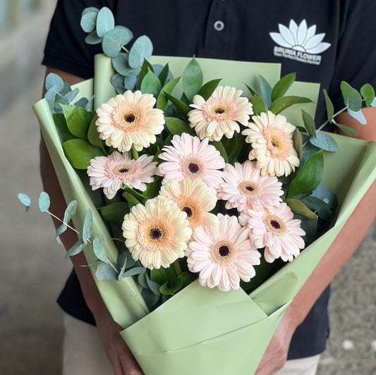 Beauty of Gerbera
