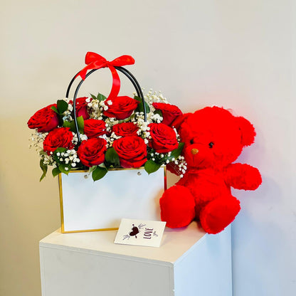 الدب والزهرة