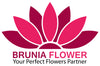 Brunia Flower