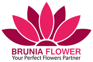 Brunia Flower